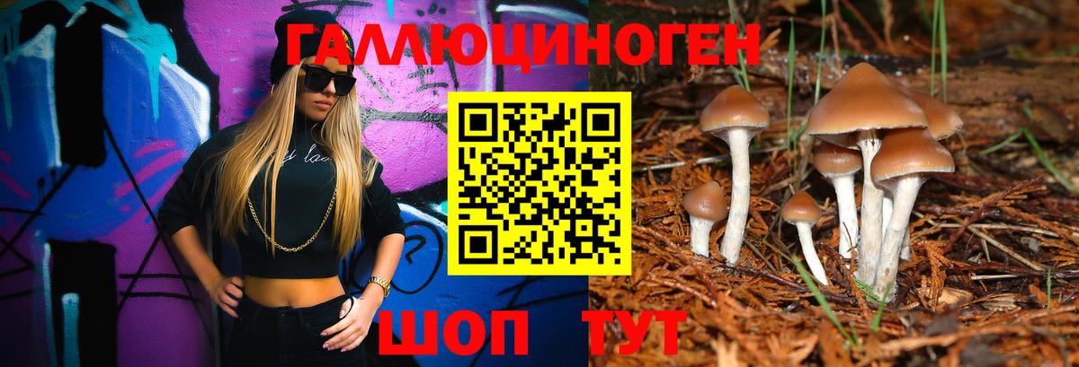 Котельники  где купить наркотик  Вход с VPN  Псилоцибиновые грибы Psilocybine cubensis 